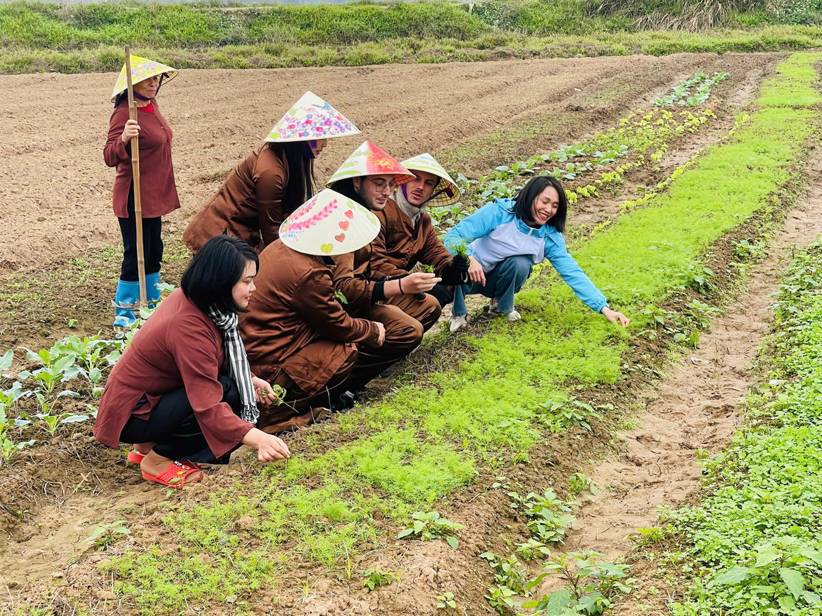Du lịch xanh: Nâng tầm điểm đến Thủ đô - Ảnh 2.