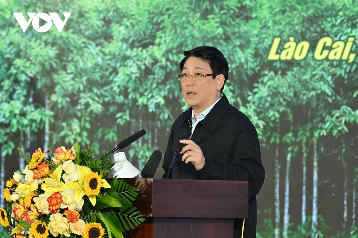 Chủ tịch nước Lương Cường dự Lễ phát động “Tết trồng cây đời đời nhớ ơn Bác Hồ" - Ảnh 1.