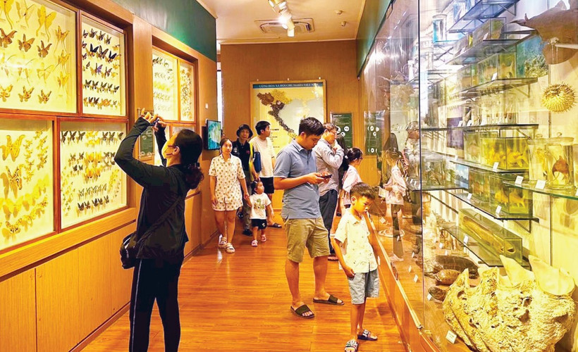 Tiềm năng du lịch từ các bảo tàng thiên nhiên - Ảnh 1.
