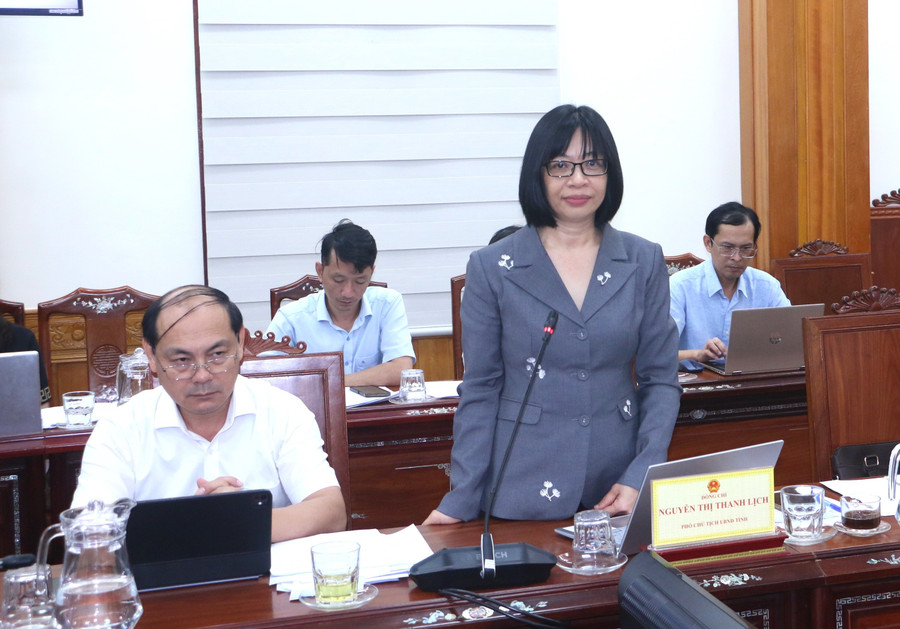 Gia Lai tập trung chuẩn bị tốt các điều kiện cần thiết cho Năm Du lịch quốc gia 2026 - Ảnh 2.