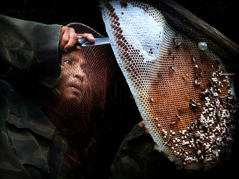 Cà Mau định vị thương hiệu bền vững trên bản đồ du lịch Việt Nam - Ảnh 2.