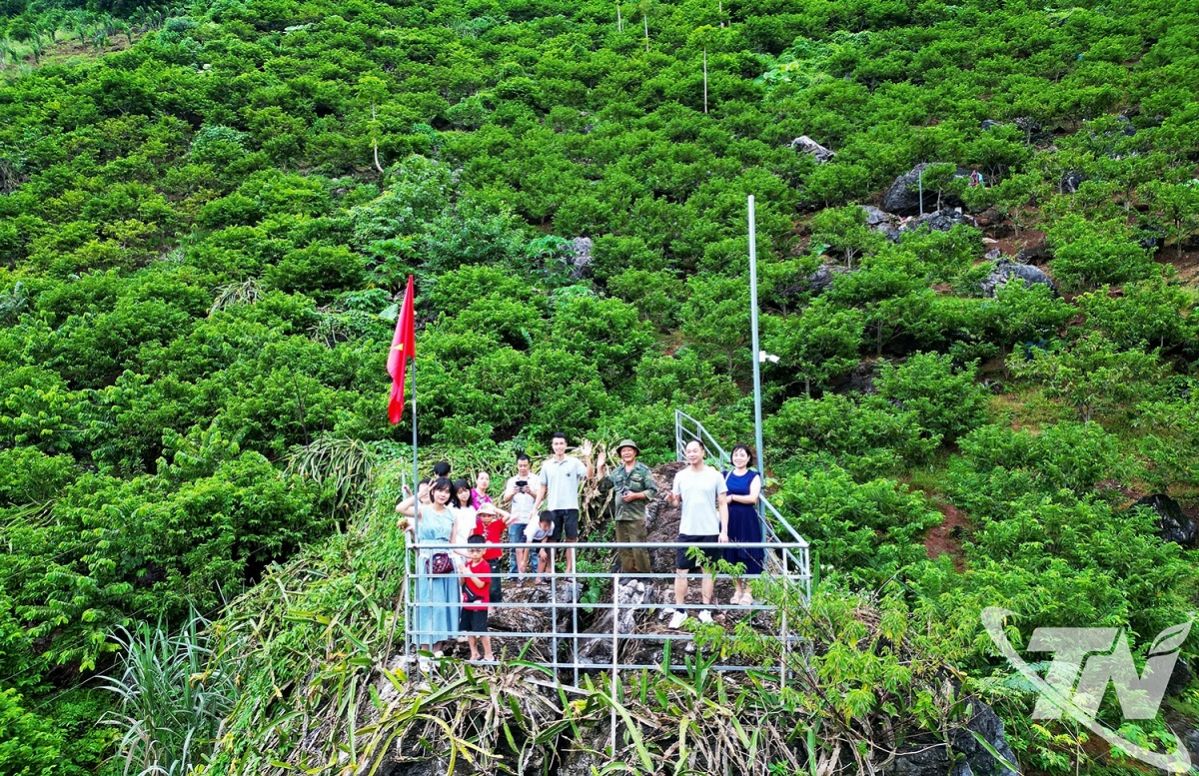 Thái Nguyên 'đánh thức' tiềm năng du lịch xanh - Ảnh 2. Thái Nguyên 'đánh thức' tiềm năng du lịch xanh - Ảnh 2.