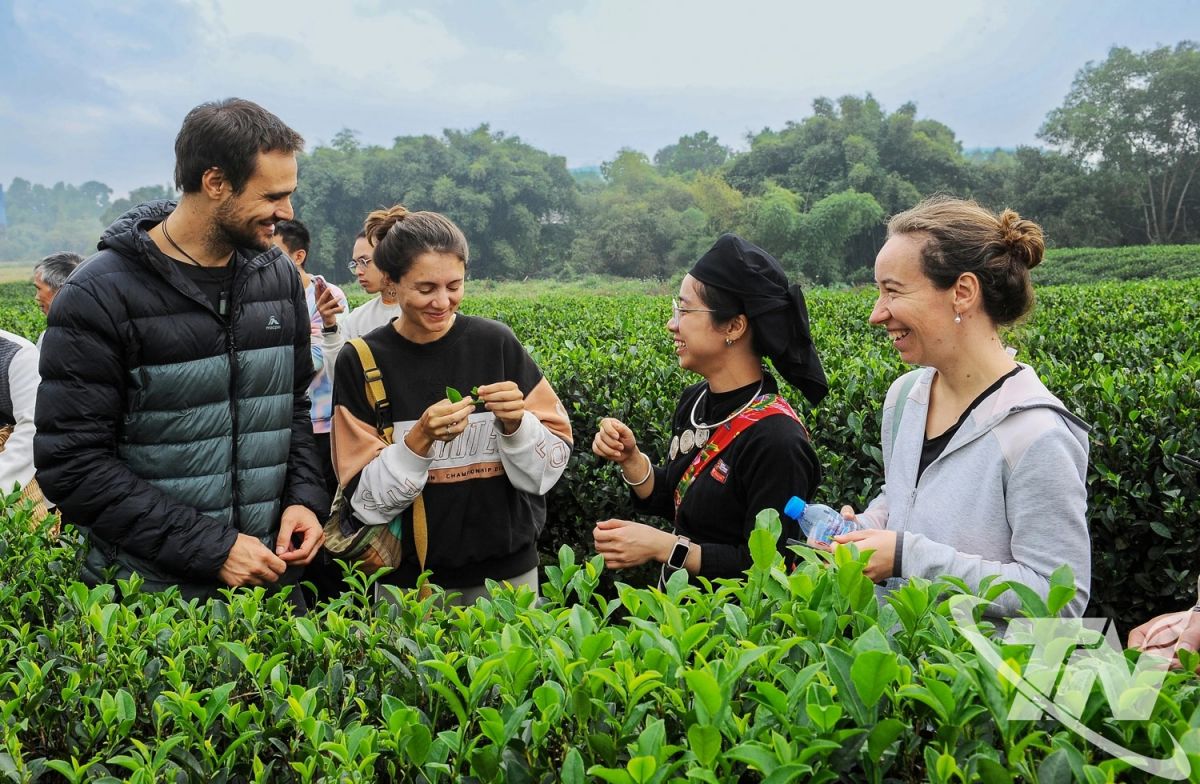 Thái Nguyên 'đánh thức' tiềm năng du lịch xanh - Ảnh 5. Thái Nguyên 'đánh thức' tiềm năng du lịch xanh - Ảnh 5.