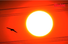 Tây Ninh: Phát huy vai trò đội ngũ trí thức, văn nghệ sĩ và báo chí trong phát triển địa phương - Ảnh 12.