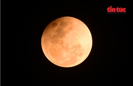 Tây Ninh: Phát huy vai trò đội ngũ trí thức, văn nghệ sĩ và báo chí trong phát triển địa phương - Ảnh 11.