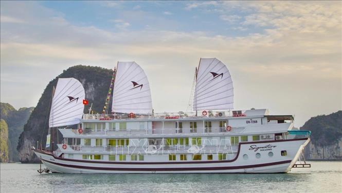 Quảng Ninh siết chặt an toàn sau sự cố cháy tàu du lịch trên vịnh Hạ Long - Ảnh 1.