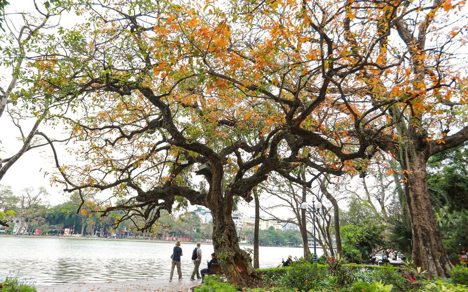 Điểm báo hoạt động ngành Văn hóa, Thể thao và Du lịch ngày 05/03/2026