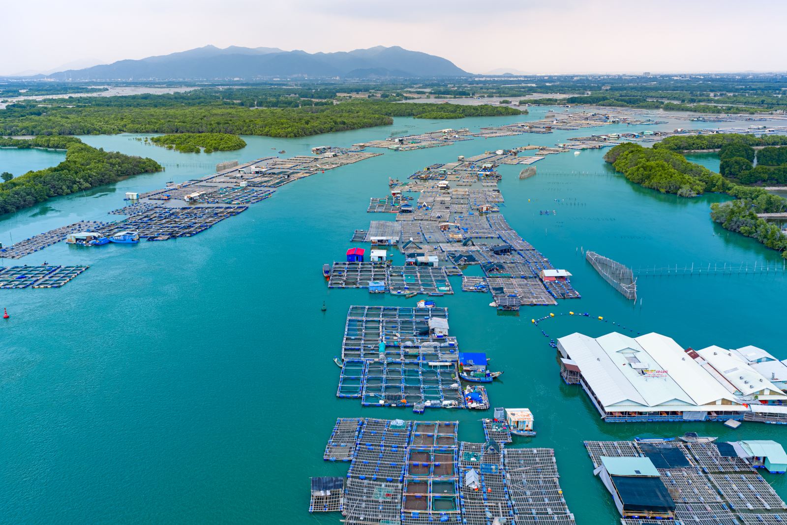 Tour trực thăng được kỳ vọng tạo điểm nhấn du lịch TP Hồ Chí Minh - Ảnh 3.