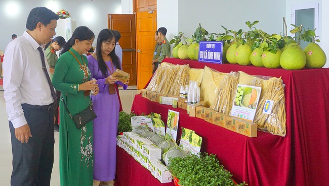 Phấn đấu đưa du lịch Vĩnh Long thành ngành kinh tế quan trọng - Ảnh 1.