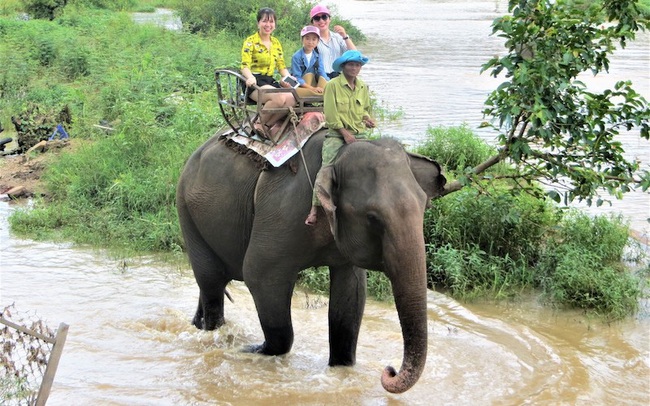 Đắk Lắk không đưa khách đến tham quan các điểm nuôi nhốt động vật hoang dã trái phép - Ảnh 1.