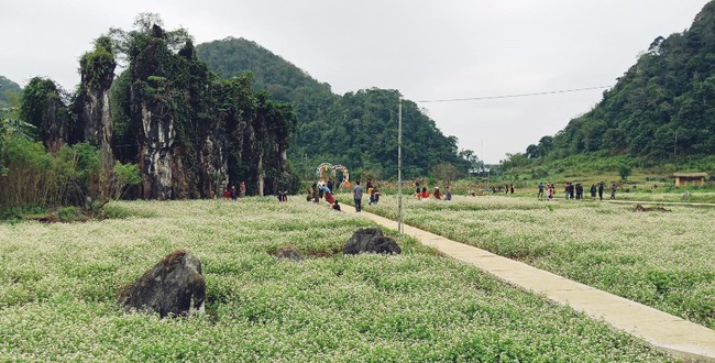 Du lịch Hà Giang xây dựng điểm đến “bản sắc, an toàn, thân thiện” - Ảnh 1.