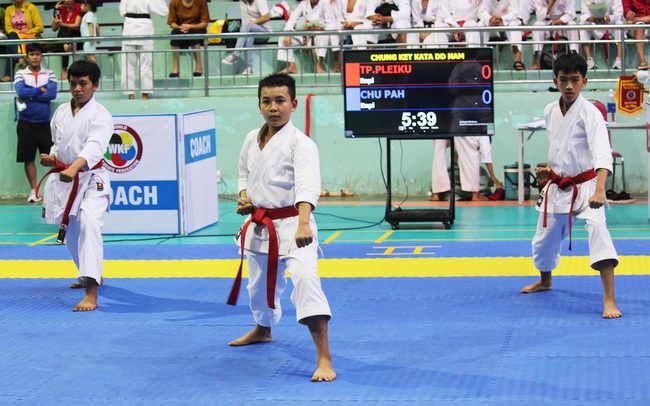 340 vận động viên tham gia Giải vô địch Karate tỉnh Gia Lai - Ảnh 1.