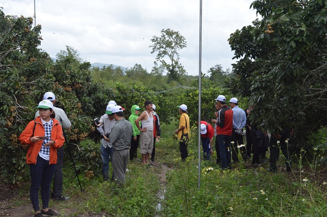Đắk Lắk: Phê duyệt Đề án Phát triển du lịch sinh thái nông nghiệp gắn với xây dựng nông thôn mới - Ảnh 1.