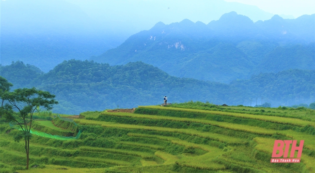 Thanh Hóa: Xây dựng các “điểm đến xanh” để thu hút khách du lịch - Ảnh 1.