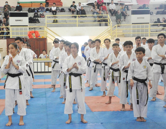 Quảng Nam: Phát triển phong trào Karatedo từ cơ sở - Ảnh 1.