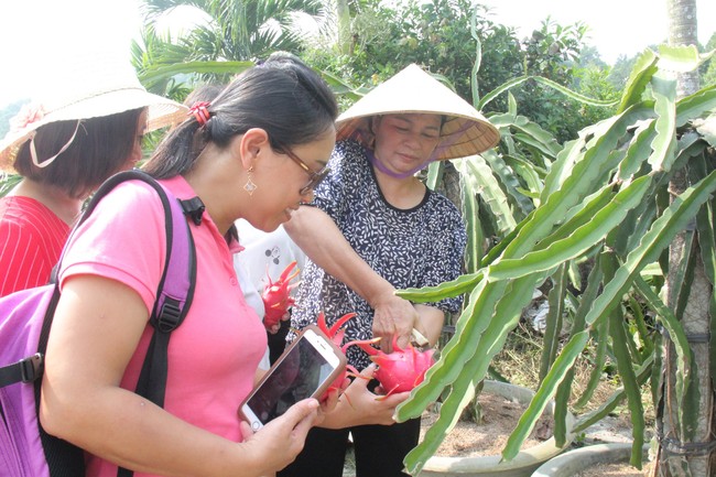 Bình Thuận tận dụng tối đa các tiềm năng để phát triển du lịch bền vững - Ảnh 2.