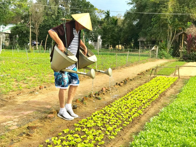 Quảng Nam: Thúc đẩy du lịch nông thôn - Ảnh 1.