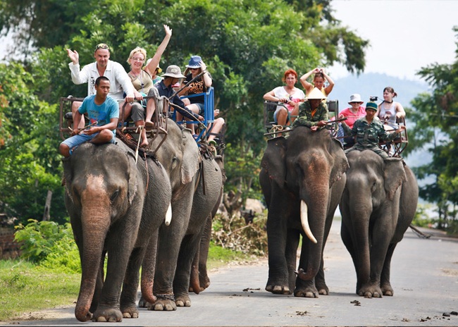Sẽ hỗ trợ Đắk Lắk 2 triệu USD để bỏ hẳn du lịch cưỡi voi - Ảnh 1.