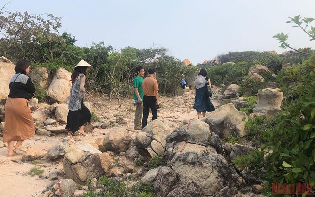Kết nối các di sản thiên nhiên ở Ninh Thuận - Ảnh 1.