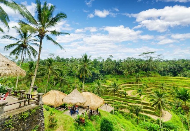 Hàng trăm làng du lịch tạo điểm tựa mới cho Indonesia - Ảnh 2.