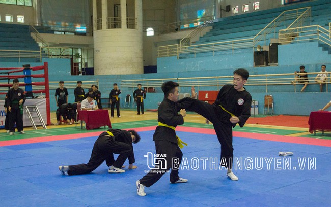 Thái Nguyên: Trao 37 bộ huy chương cho vận động viên Taekwondo, Võ cổ truyền - Ảnh 1.