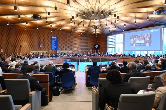 Việt Nam tham dự Kỳ họp lần thứ 217 Hội đồng Chấp hành UNESCO - Ảnh 1.