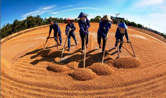 Đắk Lắk: Cuộc thi ảnh &quot;Khoảnh khắc Lễ hội Cà phê Buôn Ma Thuột lần thứ 8 năm 2023&quot; - Ảnh 1.