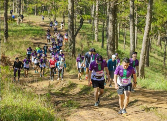 Gần 7.000 vận động viên tham gia giải chạy Dalat Ultra Trail 2023 - Ảnh 1.