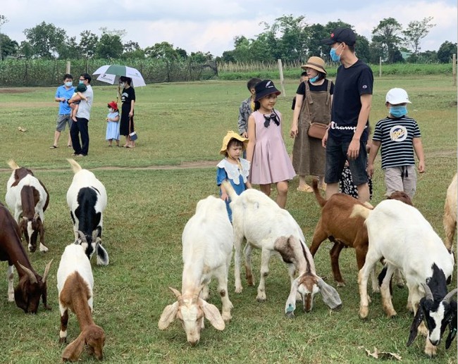 Thành phố Pleiku (Gia Lai) hội đủ điều kiện phát triển du lịch xanh - Ảnh 2.