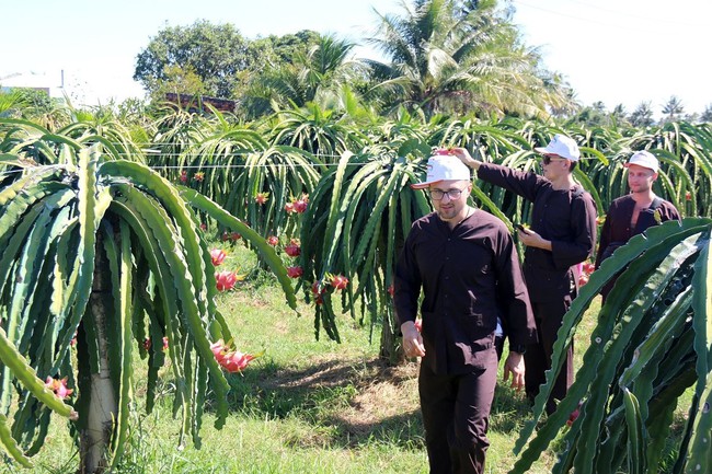 Bình Thuận hướng đến du lịch sinh thái nông nghiệp - Ảnh 2.