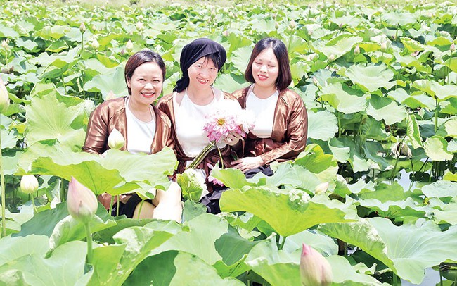 Hà Nam khai thác tiềm năng phát triển du lịch nông nghiệp - Ảnh 1.