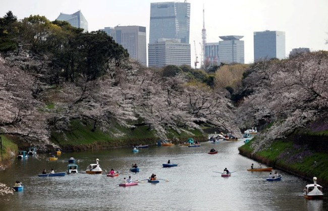 Du lịch Nhật Bản phục hồi hơn 85% so với trước đại dịch - Ảnh 1.