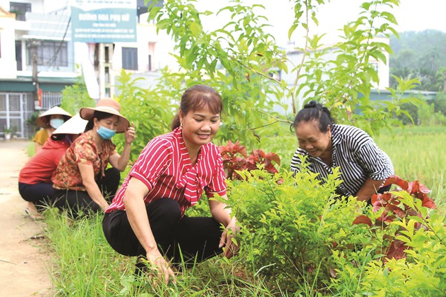 Phú Thọ thực hiện quy ước của cộng đồng dân cư năm 2024 - Ảnh 1.