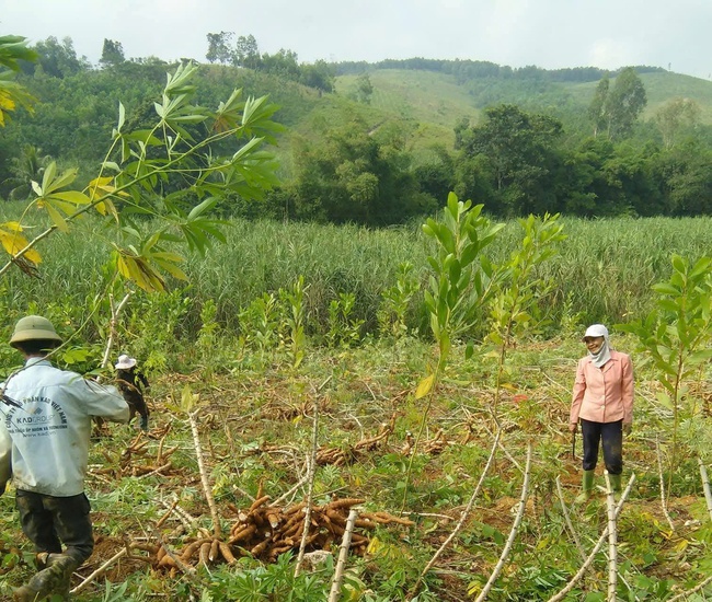 Quỹ "Vì người nghèo" - chỗ dựa cho hàng vạn hộ dân khó khăn tại Điện Biên - Ảnh 1. Quỹ "Vì người nghèo" - chỗ dựa cho hàng vạn hộ dân khó khăn tại Điện Biên - Ảnh 1.