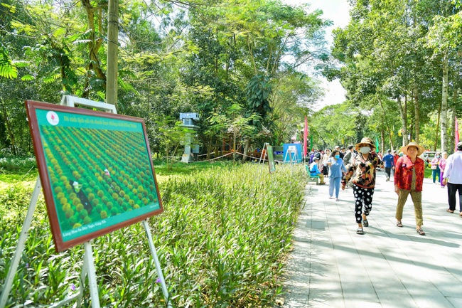 Đồng Tháp triển khai đồng bộ và hiệu quả pháp luật bảo hộ về quyền tác giả, quyền liên quan - Ảnh 2. Đồng Tháp triển khai đồng bộ và hiệu quả pháp luật bảo hộ về quyền tác giả, quyền liên quan - Ảnh 2.