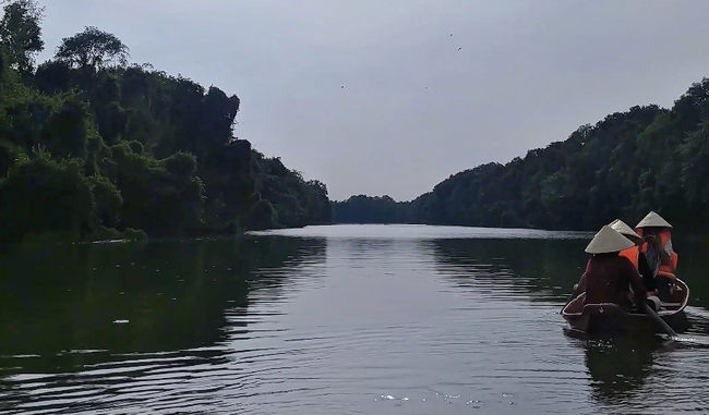 Khám phá rừng tràm ngập nước Đồng Tháp Mười trong tác phẩm dự thi Cuộc thi Sáng tạo video/Clip Ấn tượng Du lịch Việt Nam 2025 - Ảnh 3.