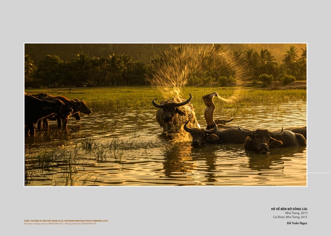 Phát động Cuộc thi Ảnh Di sản Việt Nam-Vietnam Heritage Photo Awards 2025 - Ảnh 3. Phát động Cuộc thi Ảnh Di sản Việt Nam-Vietnam Heritage Photo Awards 2025 - Ảnh 3.