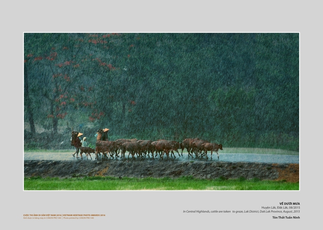 Phát động Cuộc thi Ảnh Di sản Việt Nam-Vietnam Heritage Photo Awards 2025 - Ảnh 4. Phát động Cuộc thi Ảnh Di sản Việt Nam-Vietnam Heritage Photo Awards 2025 - Ảnh 4.