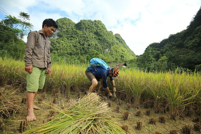 Triển khai thực hiện Chương trình MTQG giảm nghèo giai đoạn 2021-2025 ngày càng đi vào chiều sâu - Ảnh 1.