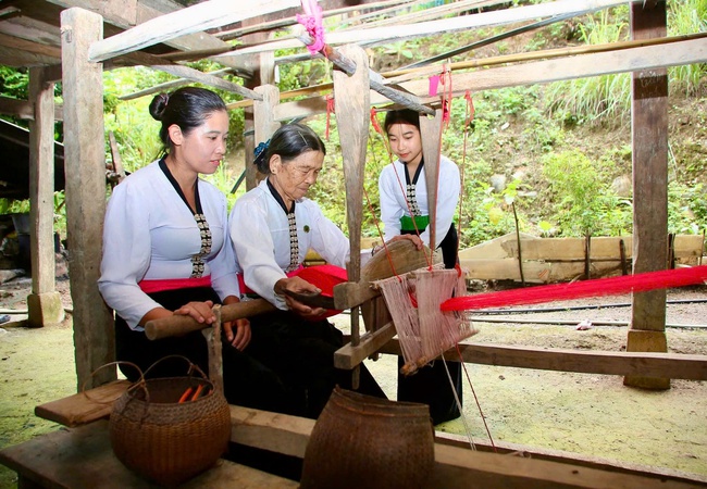 Sơn La: Nhiều giải pháp nâng cao đời sống kinh tế của đồng bào dân tộc thiểu số - Ảnh 1. Sơn La: Nhiều giải pháp nâng cao đời sống kinh tế của đồng bào dân tộc thiểu số - Ảnh 1.