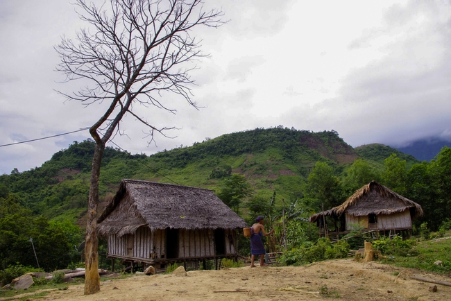 Kinh nghiệm về giảm nghèo gắn với tăng trưởng xanh của một số nước - Ảnh 1.