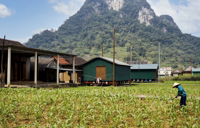 Từ kinh nghiệm quốc tế đến định hướng mới cho giảm nghèo bền vững ở Việt Nam - Ảnh 1. Từ kinh nghiệm quốc tế đến định hướng mới cho giảm nghèo bền vững ở Việt Nam - Ảnh 1.