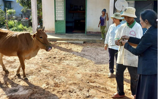 Xây dựng hệ thống an sinh xã hội toàn diện góp phần giảm nghèo bền vững - Ảnh 1. Xây dựng hệ thống an sinh xã hội toàn diện góp phần giảm nghèo bền vững - Ảnh 1.