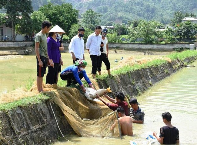 Lào Cai: Phong trào thi đua “Nông dân sản xuất, kinh doanh giỏi, đoàn kết giúp nhau làm giàu” góp phần thực hiện mục tiêu giảm nghèo đa chiều - Ảnh 1. Lào Cai: Phong trào thi đua “Nông dân sản xuất, kinh doanh giỏi, đoàn kết giúp nhau làm giàu” góp phần thực hiện mục tiêu giảm nghèo đa chiều - Ảnh 1.