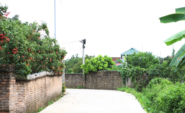 Bắc Ninh tiếp tục đẩy mạnh thực hiện Chương trình MTQG xây dựng nông thôn mới và giảm nghèo bền vững năm 2025 - Ảnh 1. Bắc Ninh tiếp tục đẩy mạnh thực hiện Chương trình MTQG xây dựng nông thôn mới và giảm nghèo bền vững năm 2025 - Ảnh 1.