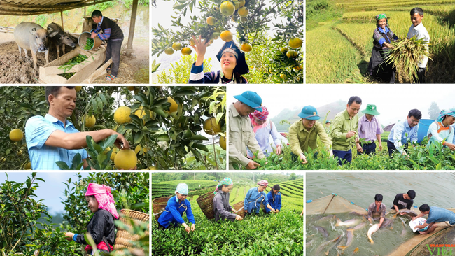 Lào Cai: Quỹ Hỗ trợ nông dân giúp người dân thoát nghèo - Ảnh 1. Lào Cai: Quỹ Hỗ trợ nông dân giúp người dân thoát nghèo - Ảnh 1.