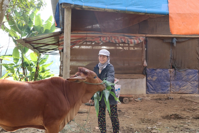 Thái Nguyên: Huy động, sử dụng hiệu quả nguồn lực đầu tư cho giảm nghèo, ưu tiên hạ tầng kinh tế - xã hội tại các xã đặc biệt khó khăn - Ảnh 1. Thái Nguyên: Huy động, sử dụng hiệu quả nguồn lực đầu tư cho giảm nghèo, ưu tiên hạ tầng kinh tế - xã hội tại các xã đặc biệt khó khăn - Ảnh 1.