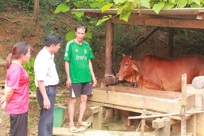 Thái Nguyên: Triển khai hiệu quả các chính sách giảm nghèo gắn với phát triển bền vững, huy động và sử dụng hợp lý mọi nguồn lực - Ảnh 1. Thái Nguyên: Triển khai hiệu quả các chính sách giảm nghèo gắn với phát triển bền vững, huy động và sử dụng hợp lý mọi nguồn lực - Ảnh 1.