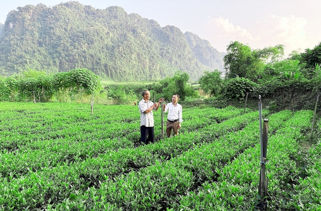 Thái Nguyên: Triển khai hiệu quả các chính sách giảm nghèo gắn với phát triển bền vững, huy động và sử dụng hợp lý mọi nguồn lực - Ảnh 2. Thái Nguyên: Triển khai hiệu quả các chính sách giảm nghèo gắn với phát triển bền vững, huy động và sử dụng hợp lý mọi nguồn lực - Ảnh 2.
