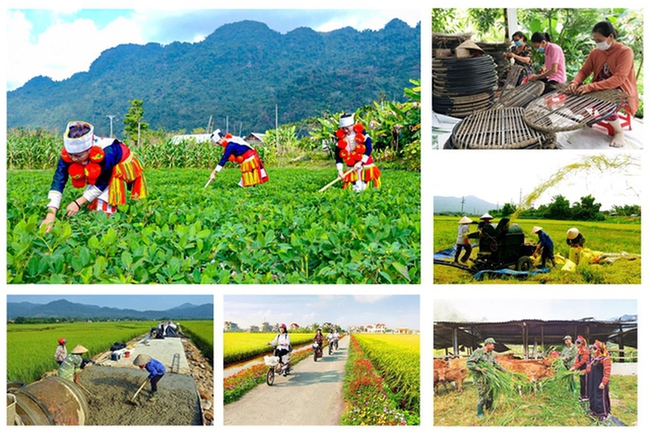 Thành lập Hội đồng thẩm định Báo cáo đề xuất chủ trương đầu tư Chương trình mục tiêu quốc gia xây dựng nông thôn mới, giảm nghèo bền vững - Ảnh 1.